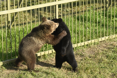 Similar image 21551743