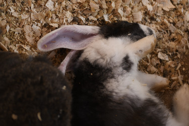 Similar image 21551744