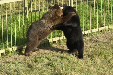 Similar image 21551745