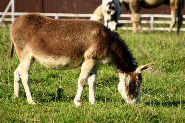 Similar image 21551748