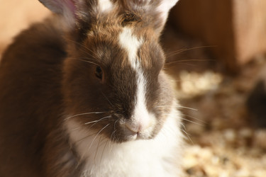 Similar image 21551749