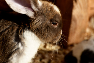 Similar image 21551751