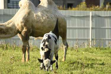 Similar image 21551752