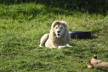 Similar image 21551753