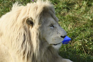 Similar image 21551757