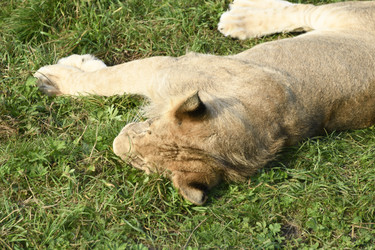 Similar image 21551758