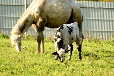 Similar image 21551759