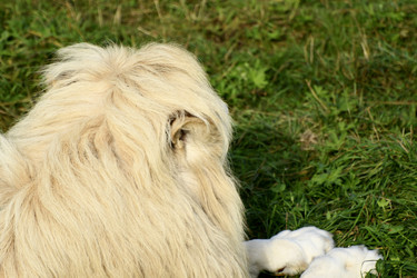 Similar image 21551764