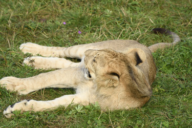 Similar image 21551765