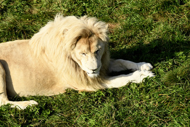 Similar image 21551766