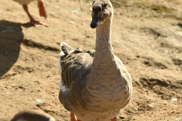 Similar image 21551767