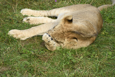 Similar image 21551768