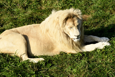 Similar image 21551769