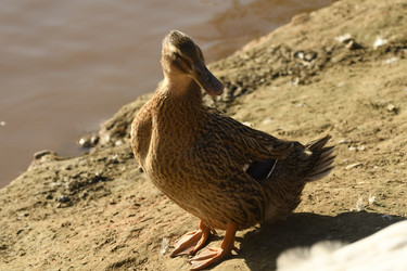 Similar image 21551770