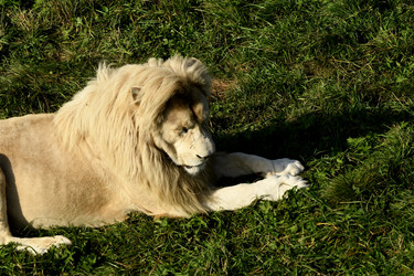 Similar image 21551771