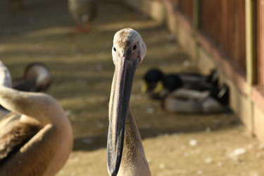 Similar image 21551962