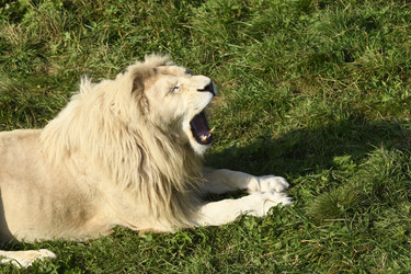 Similar image 21551963