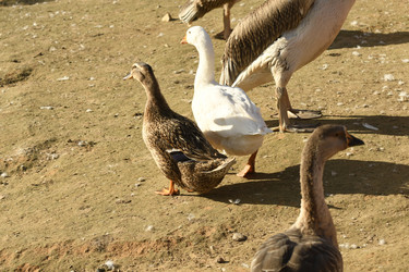 Similar image 21551968