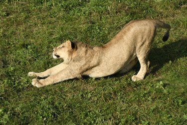 Similar image 21551969