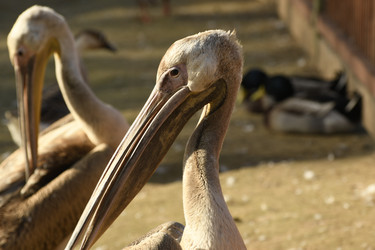 Similar image 21551970