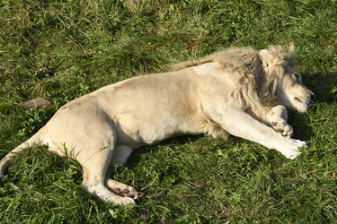 Similar image 21551971