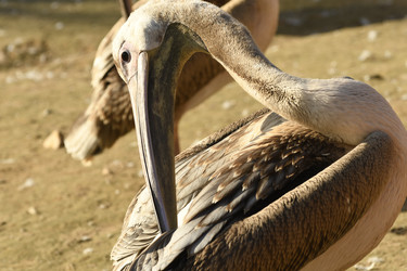 Similar image 21551972