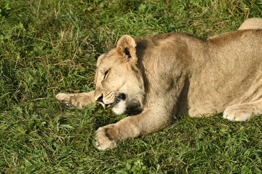 Similar image 21551973