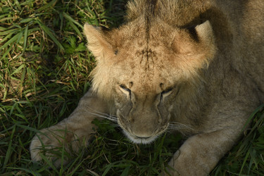 Similar image 21551974