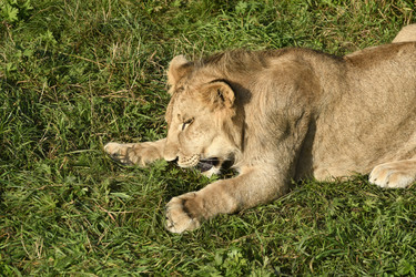 Similar image 21551975