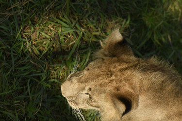 Similar image 21551977