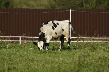 Similar image 21551978