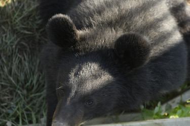 Similar image 21551979