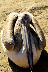 Similar image 21551980