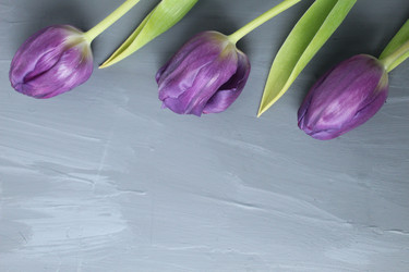 Similar image 21628623