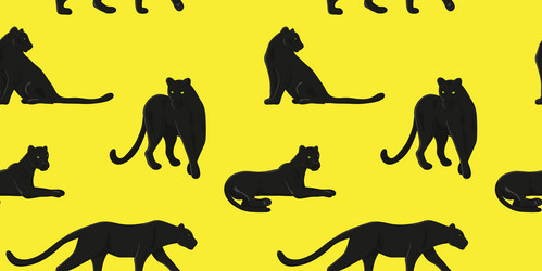 Similar image 21551471