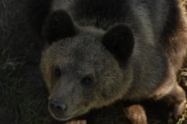 Similar image 21551983