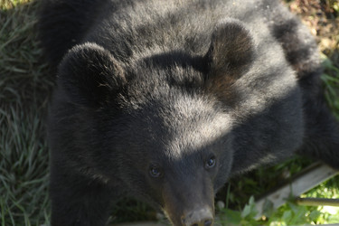 Similar image 21551984