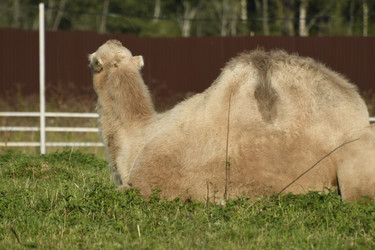 Similar image 21551985