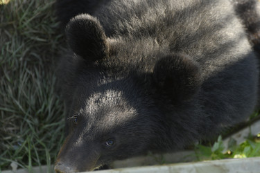 Similar image 21551986