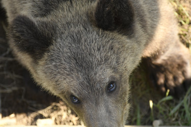 Similar image 21551987