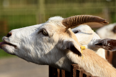 Similar image 21551988