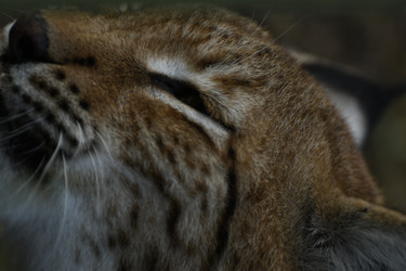 Similar image 21551989