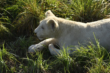 Similar image 21551990