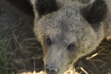 Similar image 21551991