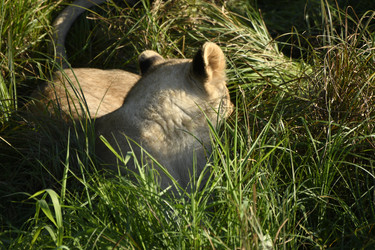 Similar image 21551992