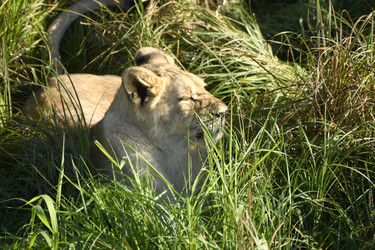 Similar image 21551994