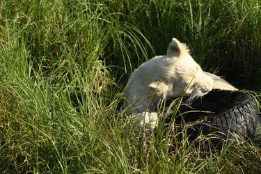 Similar image 21551995