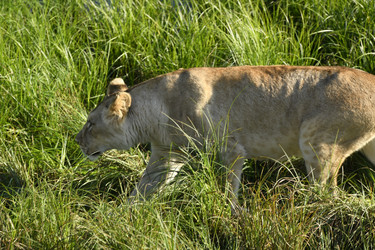 Similar image 21551997