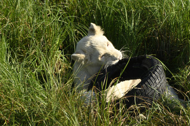 Similar image 21551998