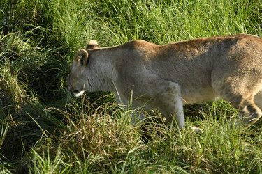 Similar image 21551999